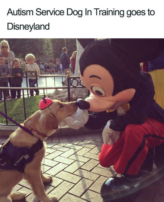 Disney Employees Are Awesome (20 pics)