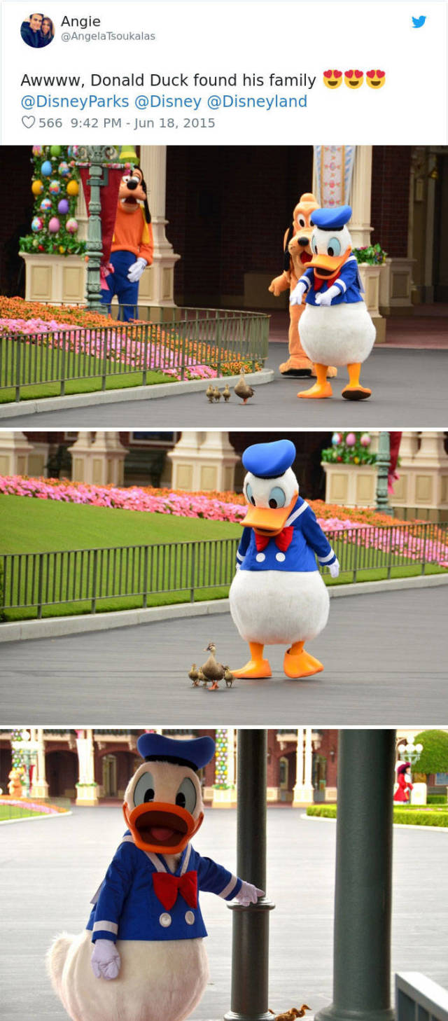 Disney Employees Are Awesome (20 pics)