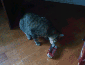 Acid Gifdump, January 4 (25 gifs)