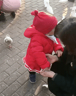 Acid Gifdump, January 4 (25 gifs)
