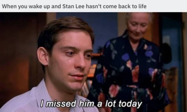 Spider-Man Memes (33 pics)