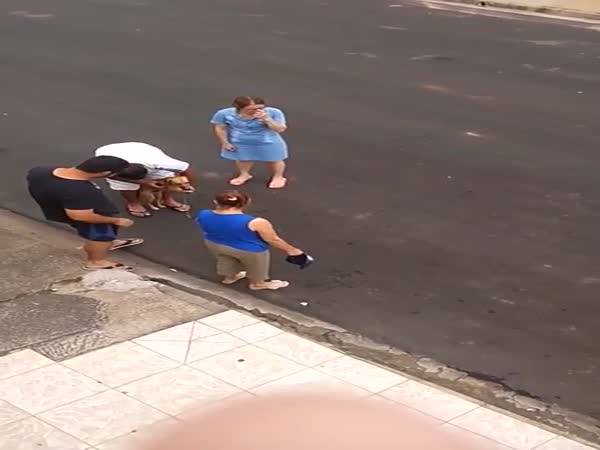 The Dog Was Worrying So Much