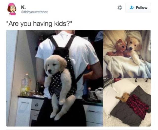 Who Wants Kids Anyway? (26 pics)
