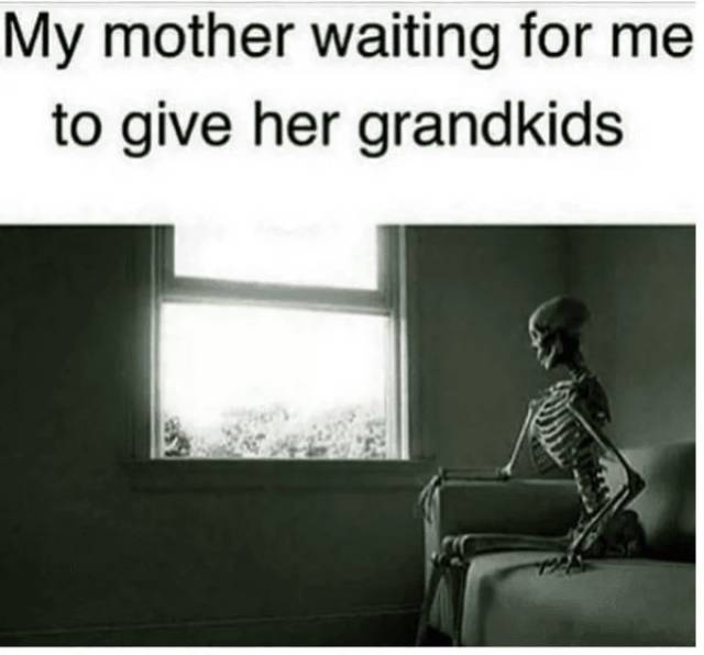 Who Wants Kids Anyway? (26 pics)