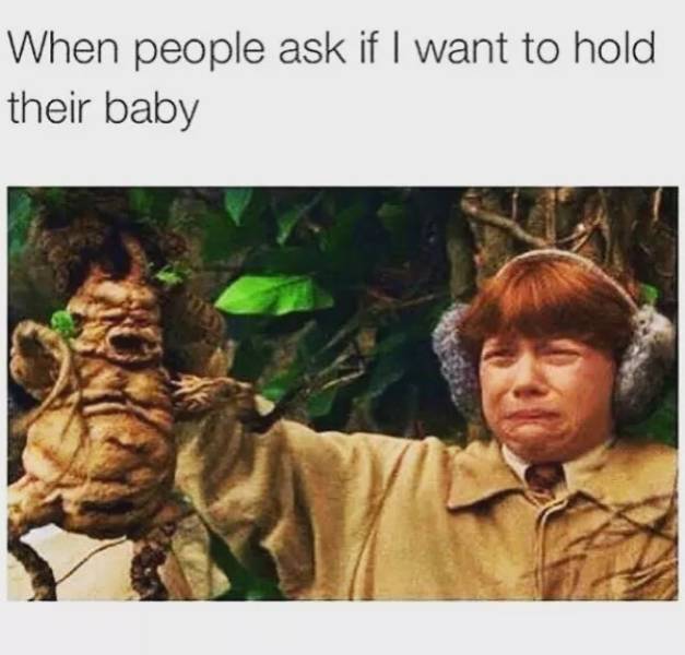 Who Wants Kids Anyway? (26 pics)