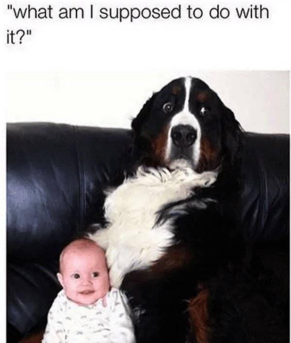 Who Wants Kids Anyway? (26 pics)