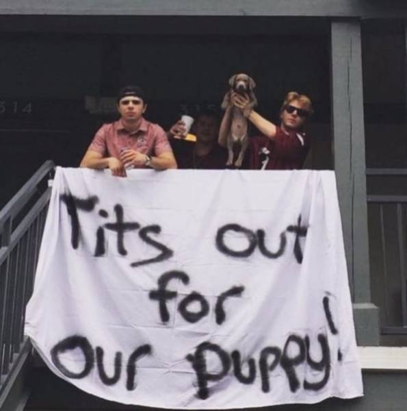 Welcome To College (61 pics)