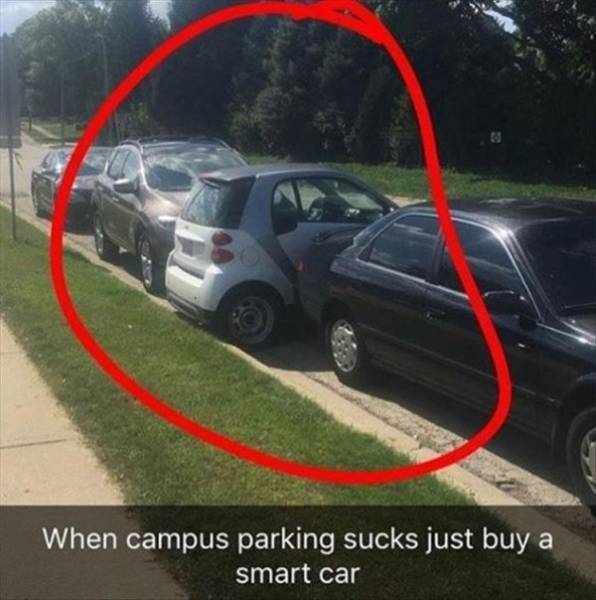 Welcome To College (61 pics)