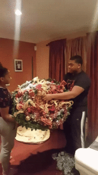 Acid Gifdump, January 7 (25 gifs)