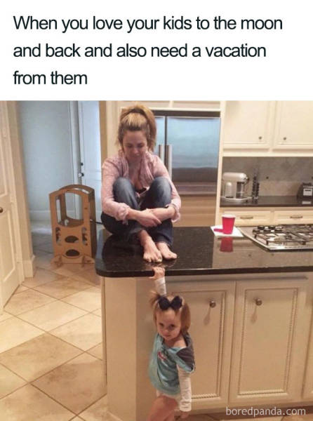 Memes About Mothers (48 pics)
