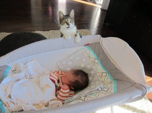 When A Picture Says More Than Just A Thousand Words (44 pics)