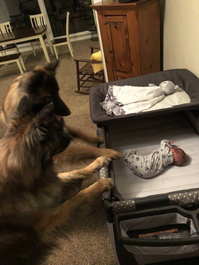 When A Picture Says More Than Just A Thousand Words (44 pics)