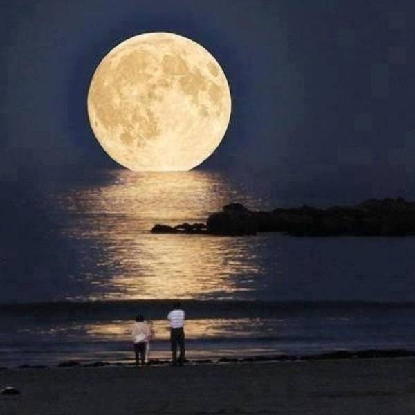 When A Picture Says More Than Just A Thousand Words (44 pics)