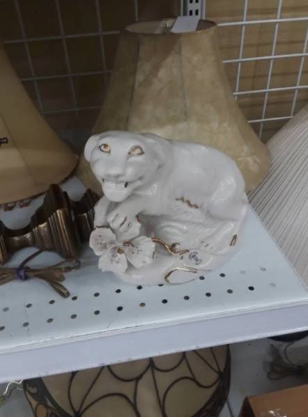 Thrift Shops Are Strange (64 pics)