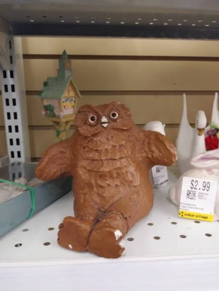 Thrift Shops Are Strange (64 pics)