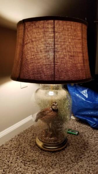 Thrift Shops Are Strange (64 pics)