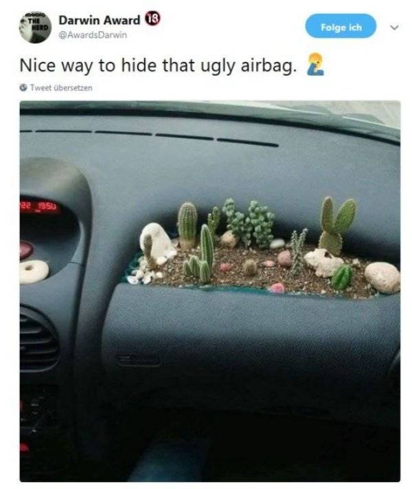 These People Are Not Very Smart (32 pics)