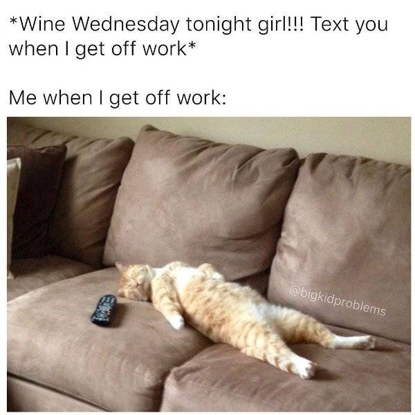 Only Professionals Can Adult (23 pics)