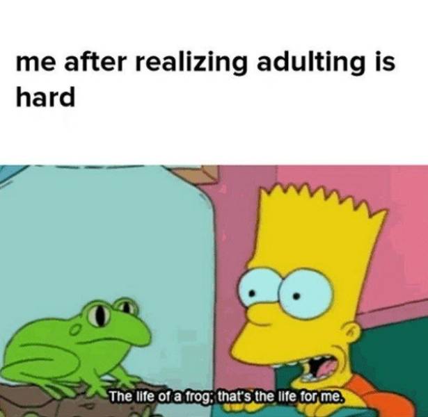 Only Professionals Can Adult (23 pics)