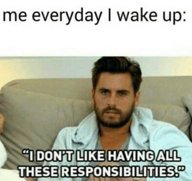 Only Professionals Can Adult (23 pics)