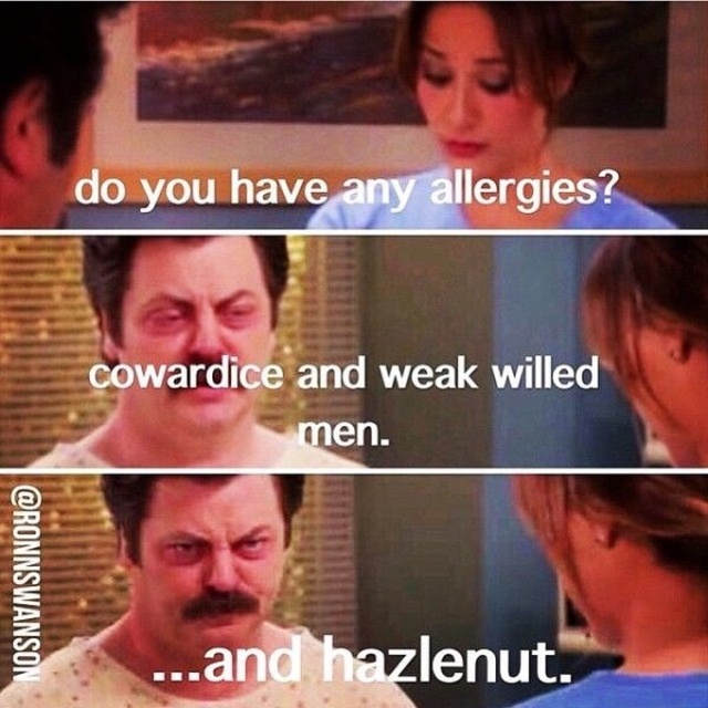 Ron Swanson Funny Moments (28 pics)