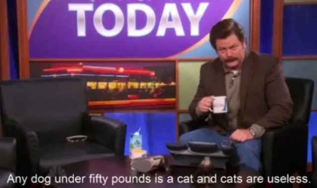 Ron Swanson Funny Moments (28 pics)