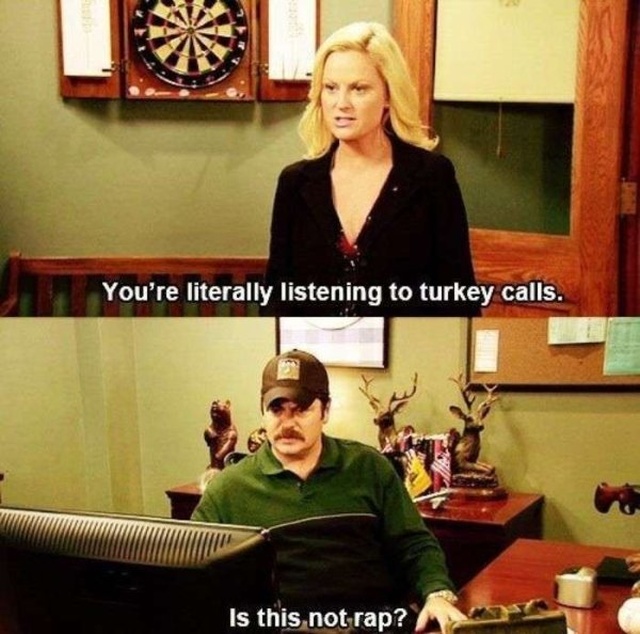 Ron Swanson Funny Moments (28 pics)