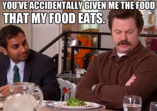 Ron Swanson Funny Moments (28 pics)