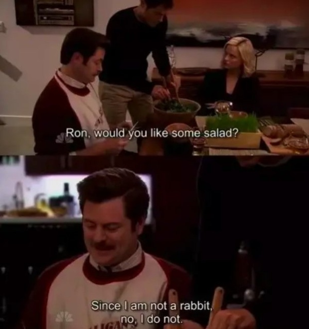 Ron Swanson Funny Moments (28 pics)