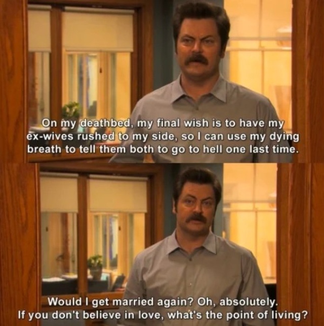 Ron Swanson Funny Moments (28 pics)