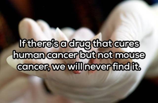 Complex Thoughts (17 pics)