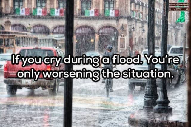 Complex Thoughts (17 pics)