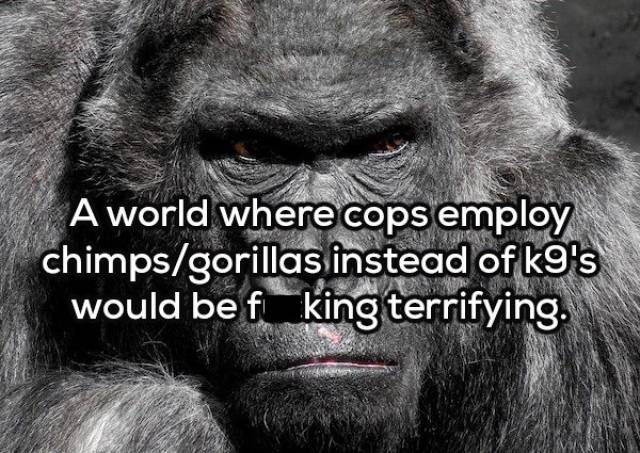 Complex Thoughts (17 pics)