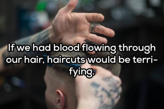 Complex Thoughts (17 pics)