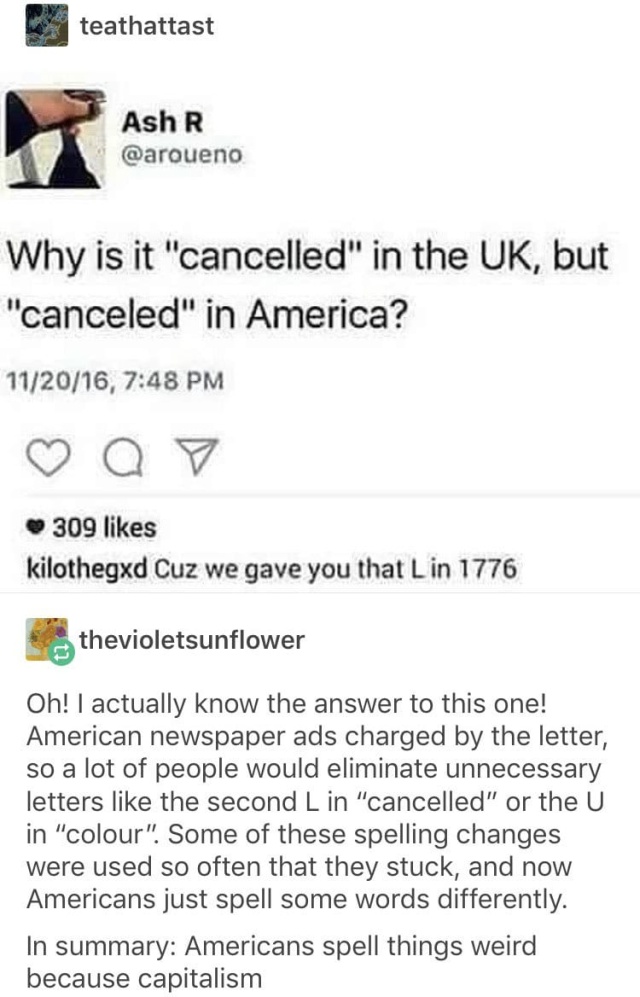Times Everyone On Tumblr Was Like, "America, Are You Okay?" (15 pics)