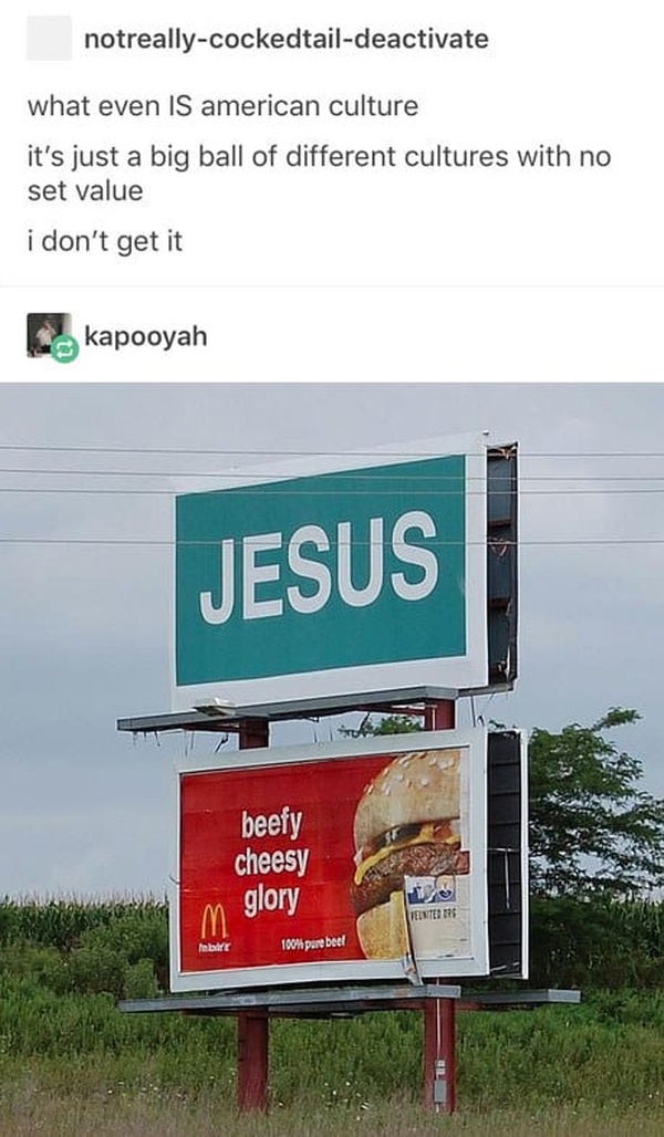 Times Everyone On Tumblr Was Like, "America, Are You Okay?" (15 pics)