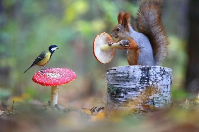 Acid Picdump (90 pics)