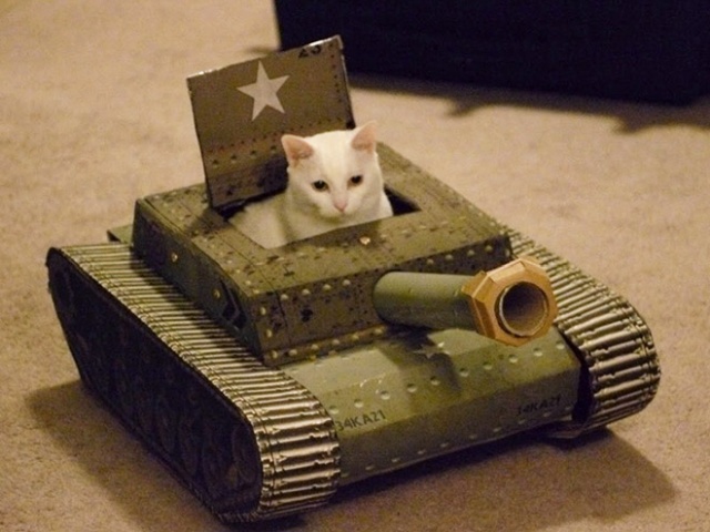 Cats In Cardboard Tanks (21 pics)