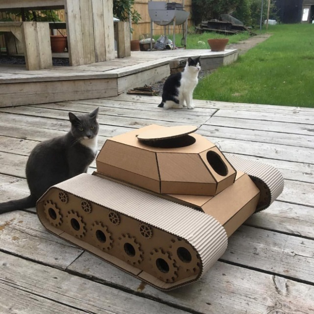 Cats In Cardboard Tanks (21 pics)