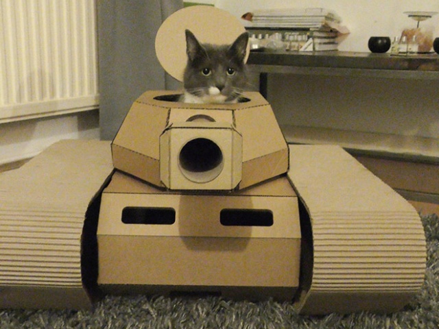 Cats In Cardboard Tanks (21 pics)