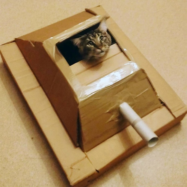 Cats In Cardboard Tanks (21 pics)