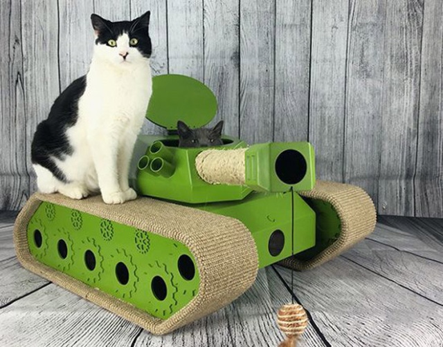 Cats In Cardboard Tanks (21 pics)