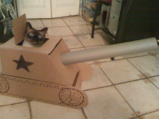 Cats In Cardboard Tanks (21 pics)