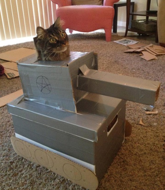 Cats In Cardboard Tanks (21 pics)