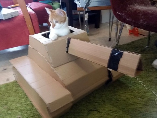 Cats In Cardboard Tanks (21 pics)