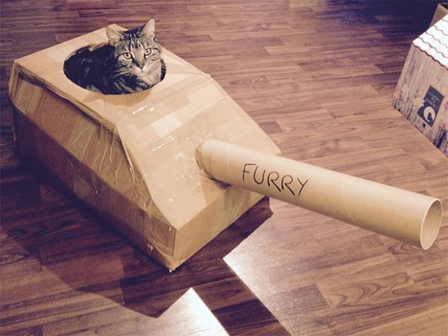 Cats In Cardboard Tanks (21 pics)