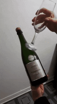 Champagne Fails (13 gifs)