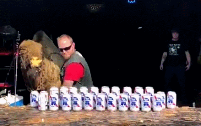 Acid Gifdump, January 9 (25 gifs)