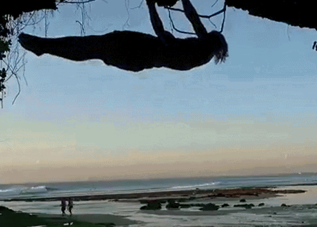 Acid Gifdump, January 9 (25 gifs)