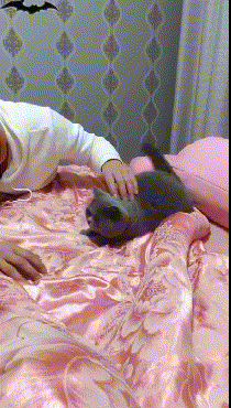 Acid Gifdump, January 9 (25 gifs)